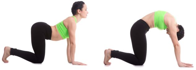 Yoga Stretches for the Lower Back