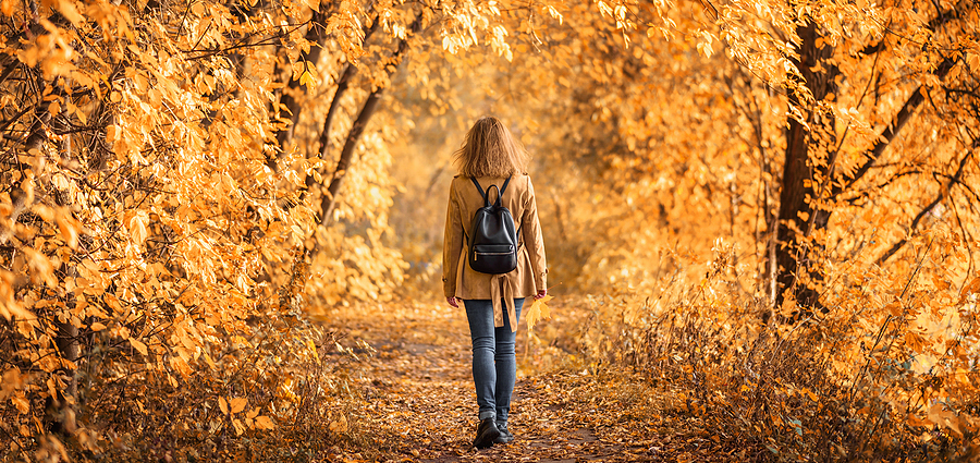 The Yoga of Walking