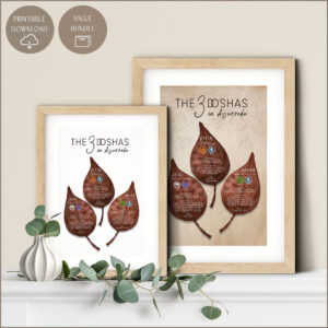 The Three Doshas
