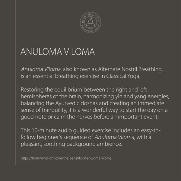 Beginners Anuloma Viloma - Image 2